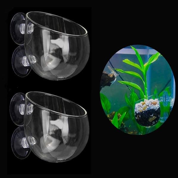 Ailindany 2PCS Crystal Glass Aquatic Plant Cup Holder with Suction Cups for Fish Tank Aquarium Decoration
